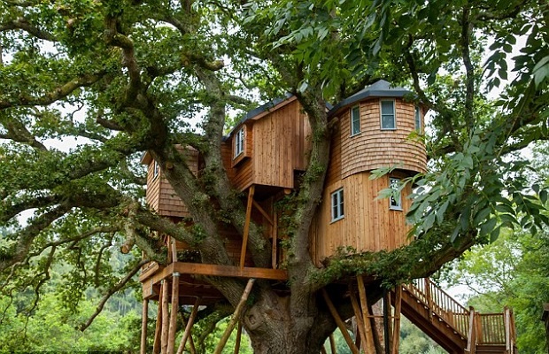 tree house