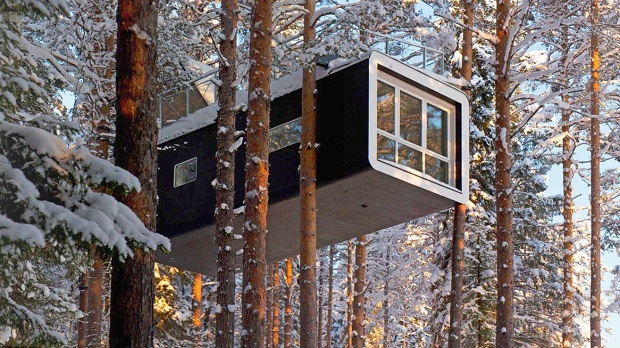 Tree House