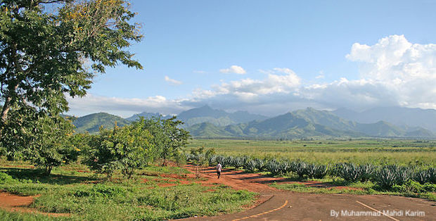 Uluguru